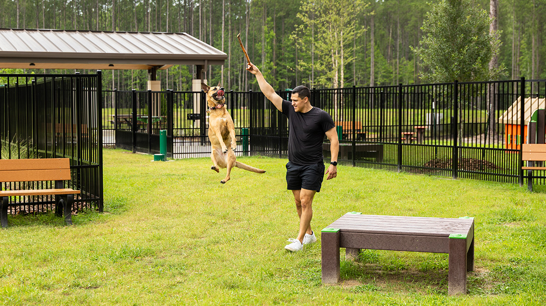 How Dog Parks Help Create Pet-Friendly Communities