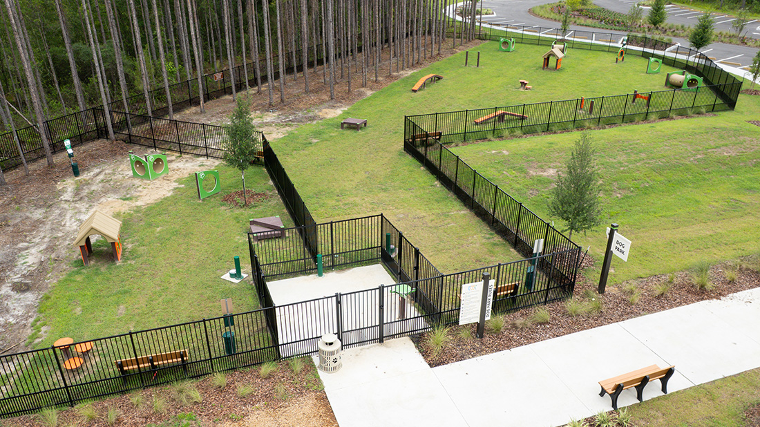 Small Dog vs. Large Dog Areas: Why Separate Spaces Benefit Dog Parks
