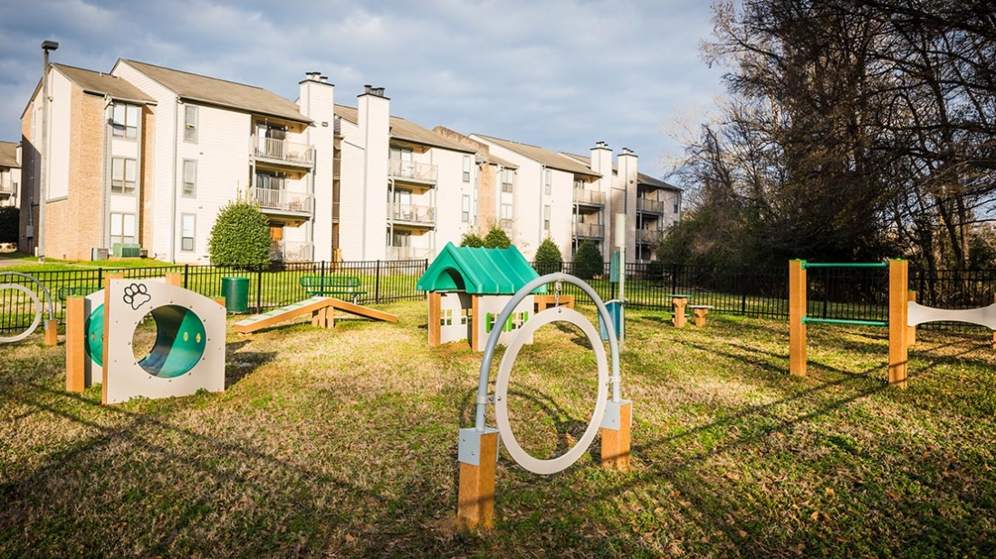 How to Design a Dog Park That Keeps Communities Coming Back